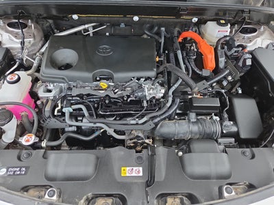 2024 Toyota Venza Limited