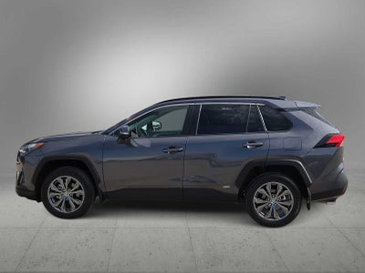 2025 Toyota RAV4 Hybrid XLE Premium