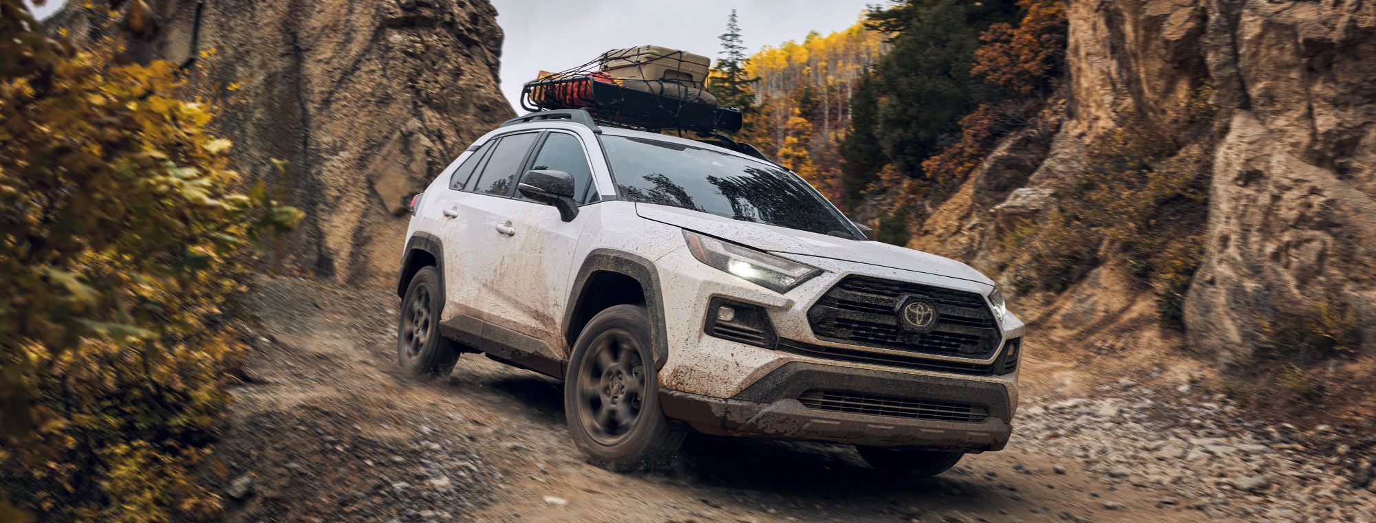 New & Used Toyota Dealer Odessa TX Lithia Toyota of Odessa