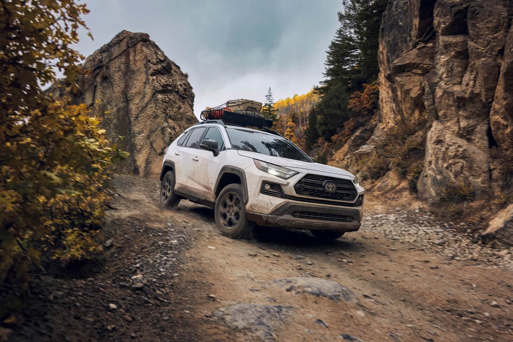 Toyota Dealer near Alpine TX